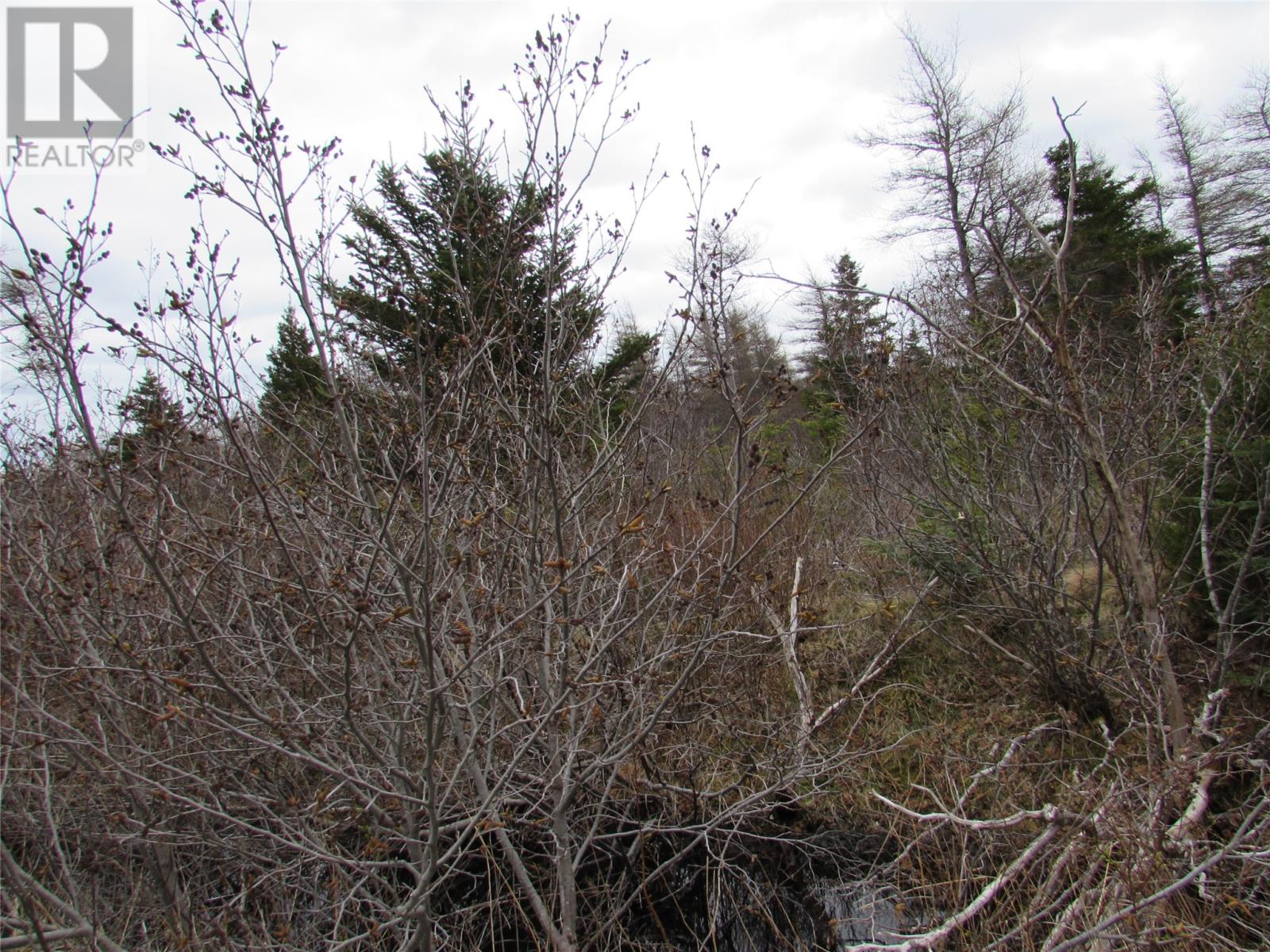 45 New Line Road Property Photo 10