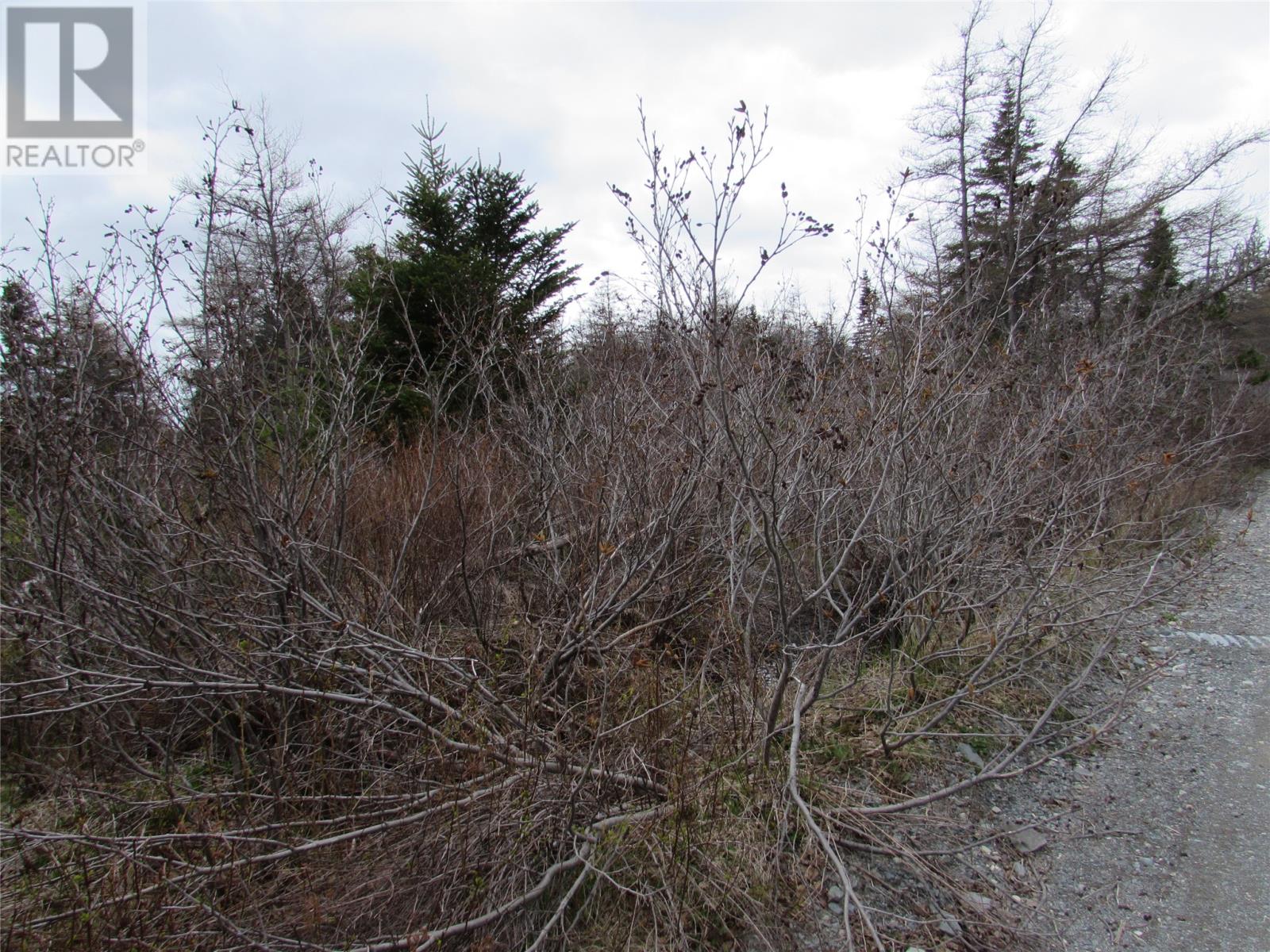 45 New Line Road Property Photo 13