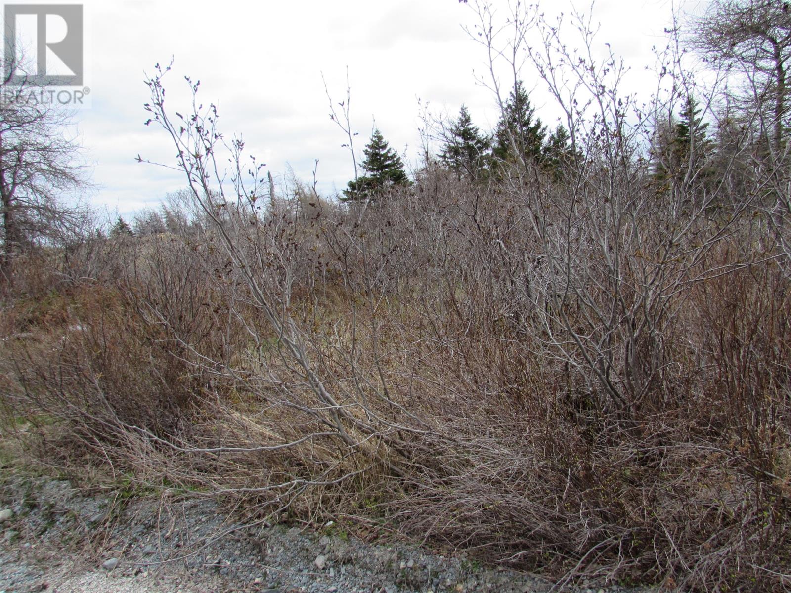 45 New Line Road Property Photo 15