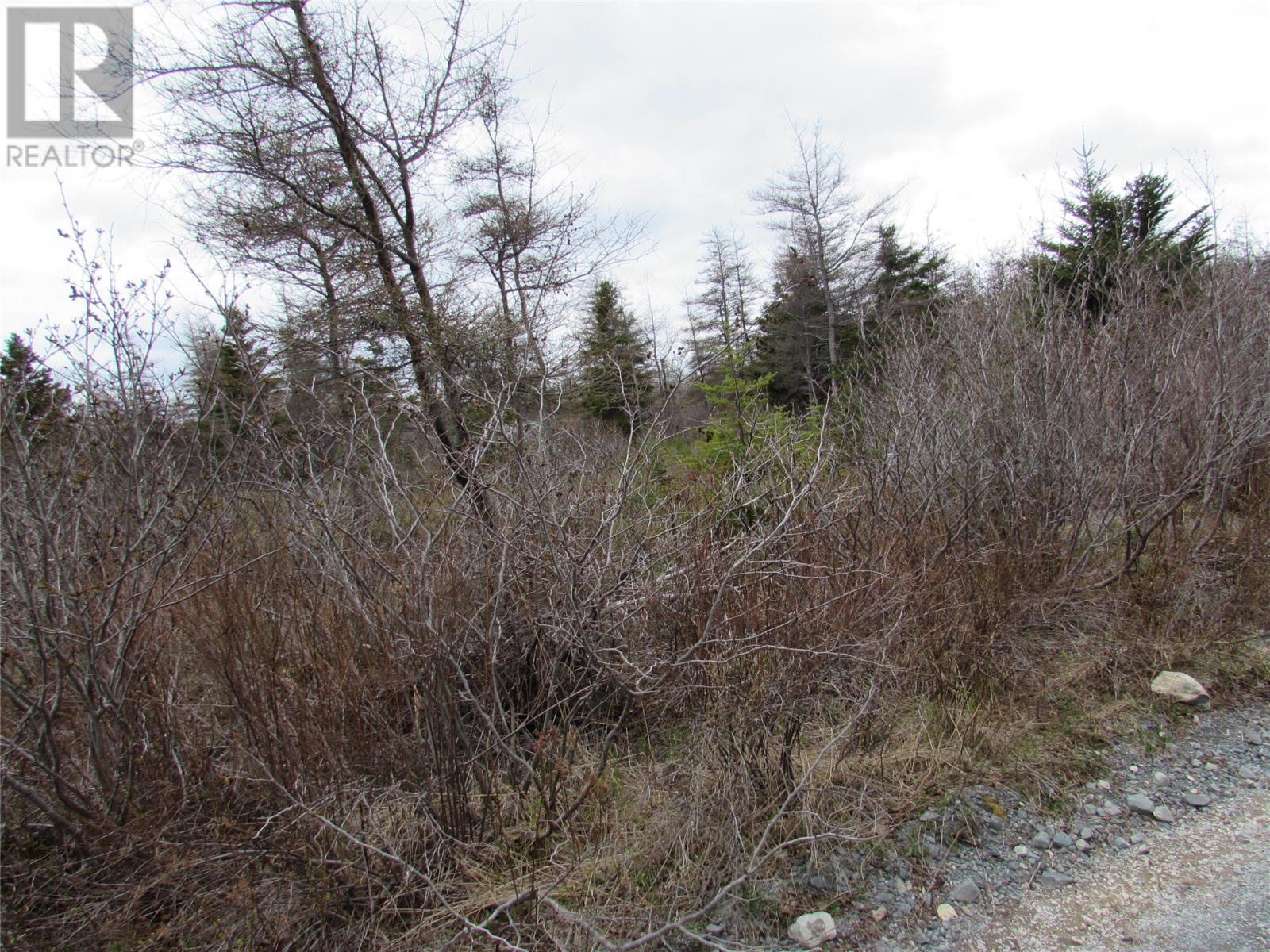 45 New Line Road Property Photo 16
