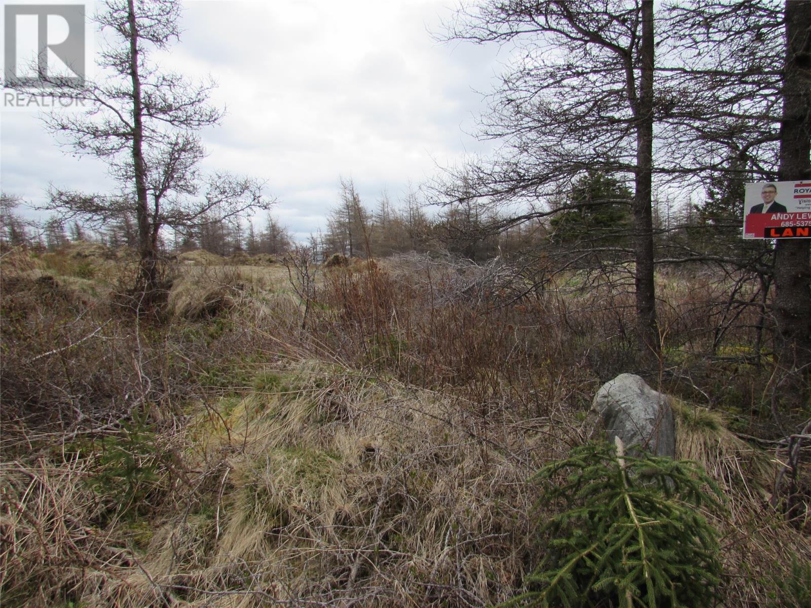 45 New Line Road Property Photo 22