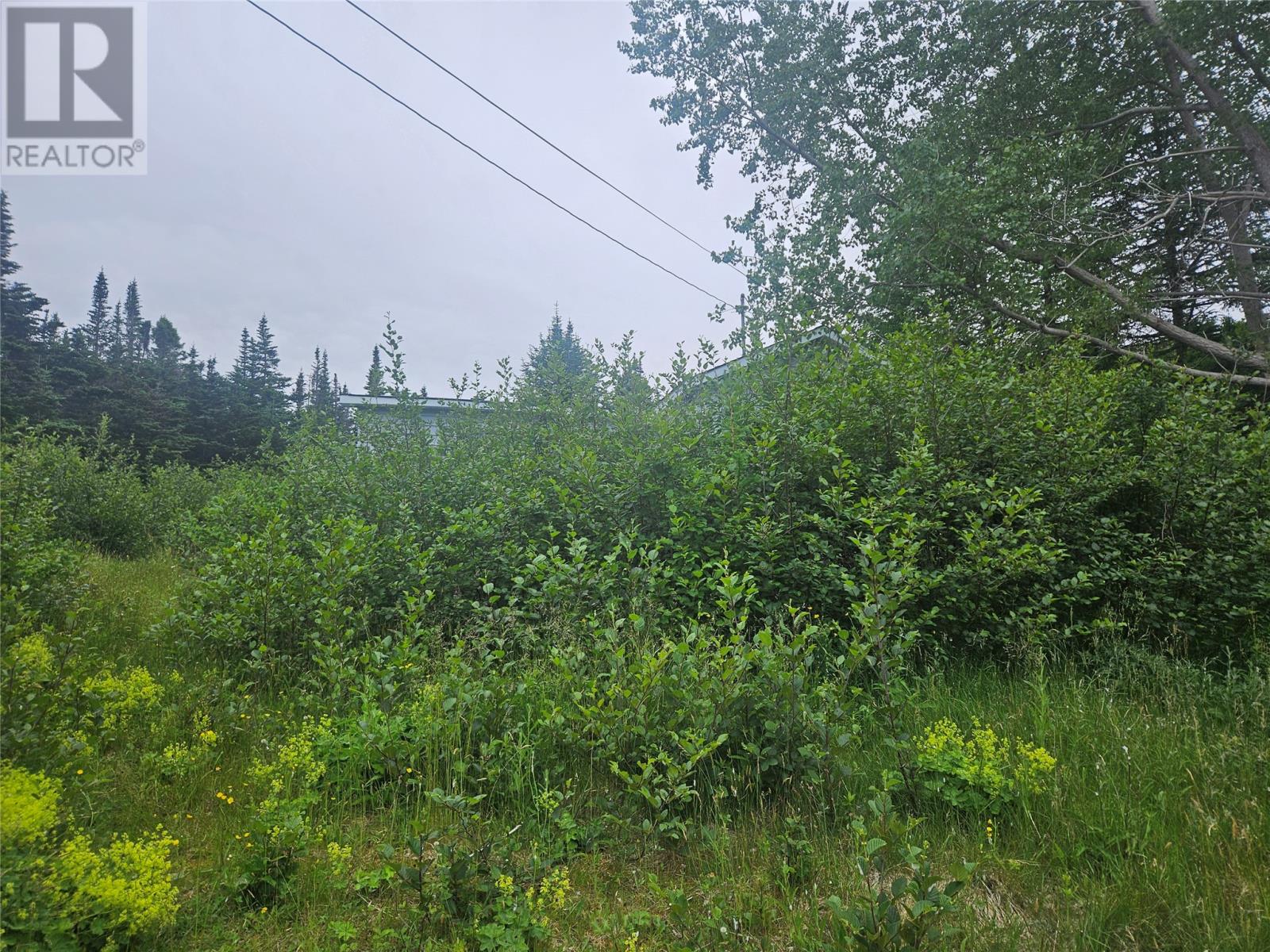 19a Penney's Pond Road Property Photo 1