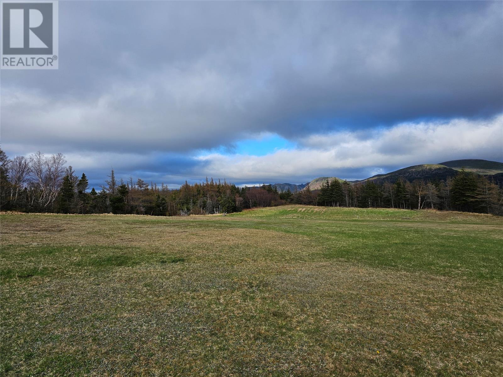 1121 Trans Canada Highway Property Photo 46