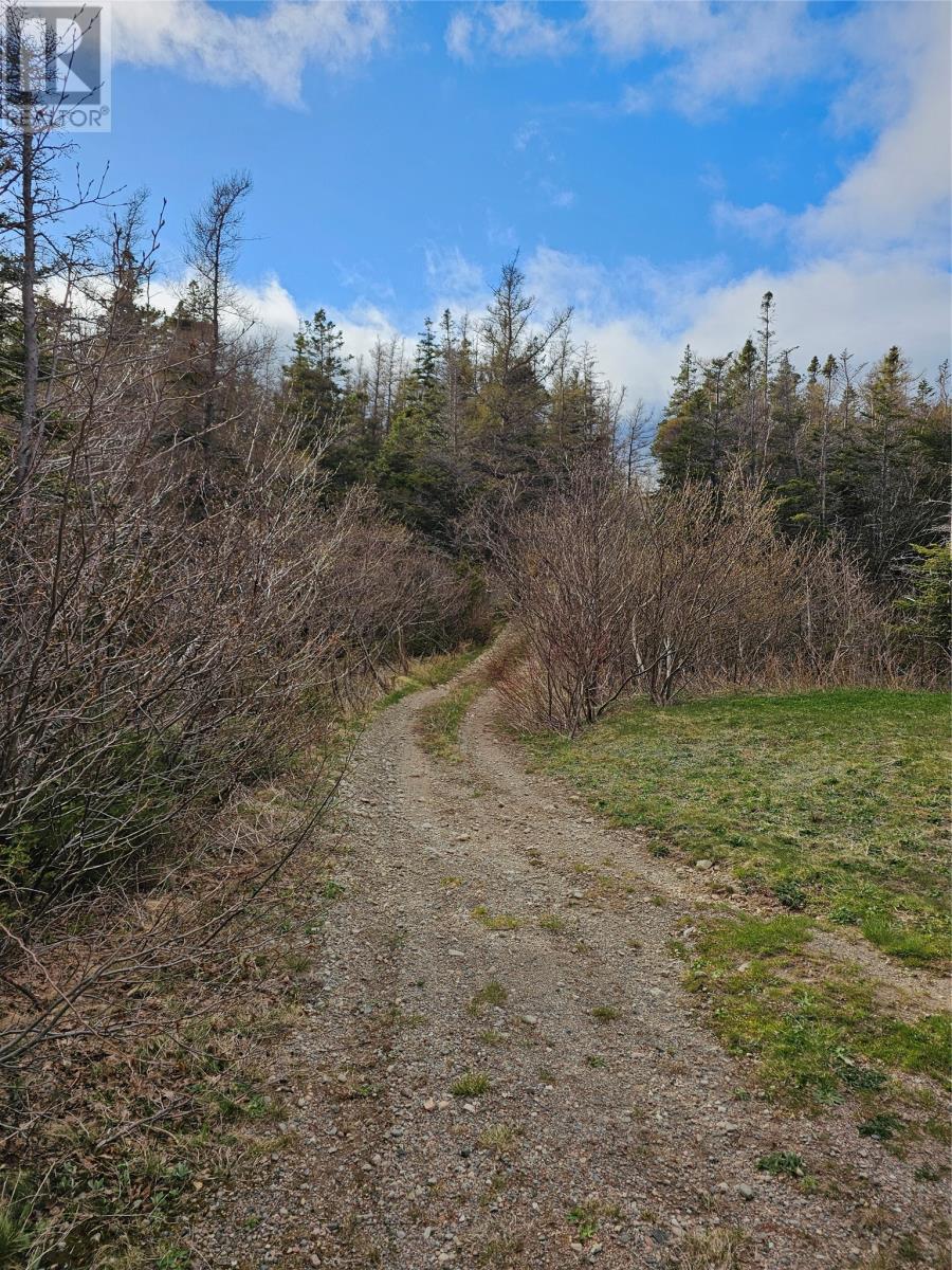 1121 Trans Canada Highway Property Photo 47