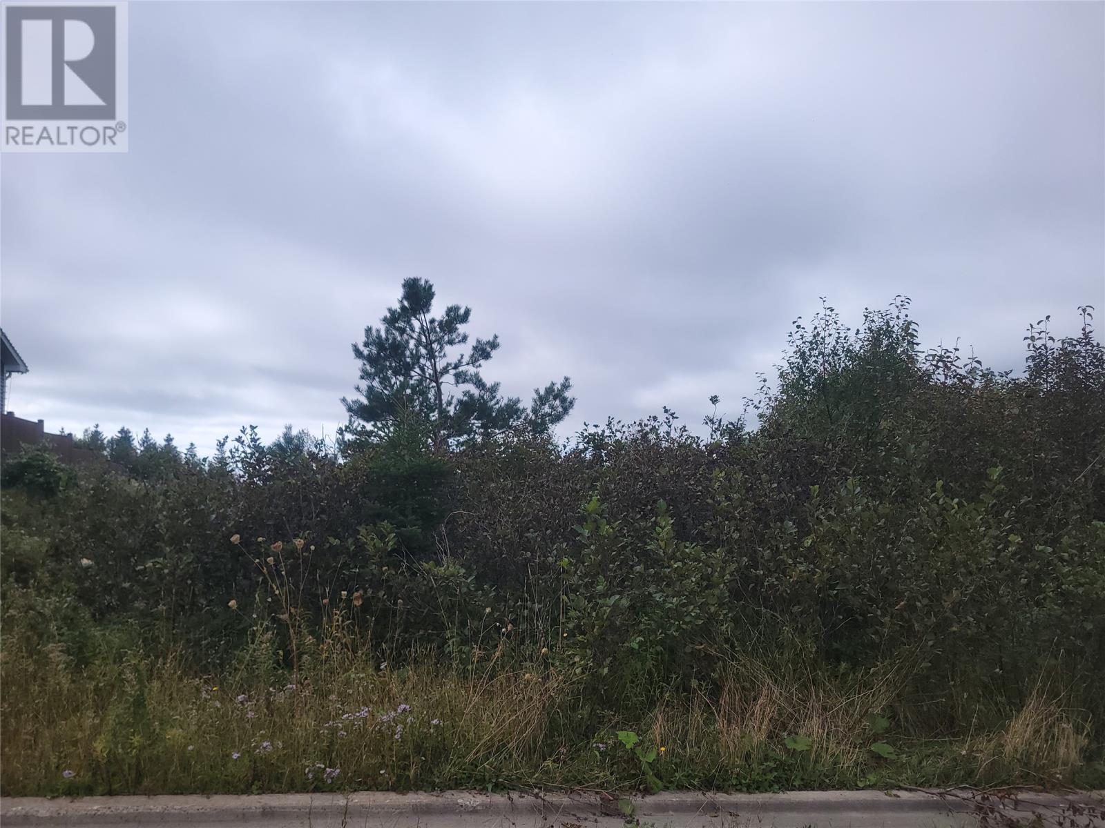 4 Ridgeview Avenue Property Photo 1