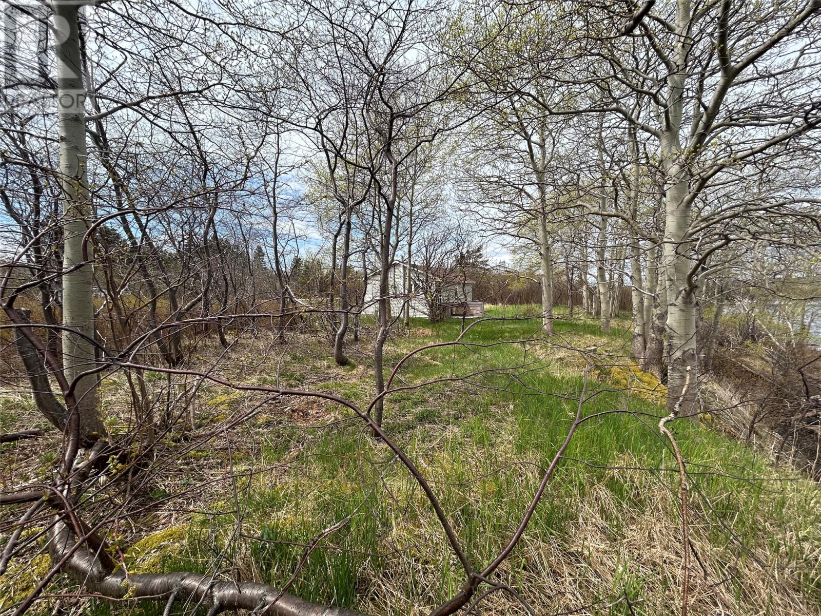 38-40 Sacrey's Road Property Photo 8