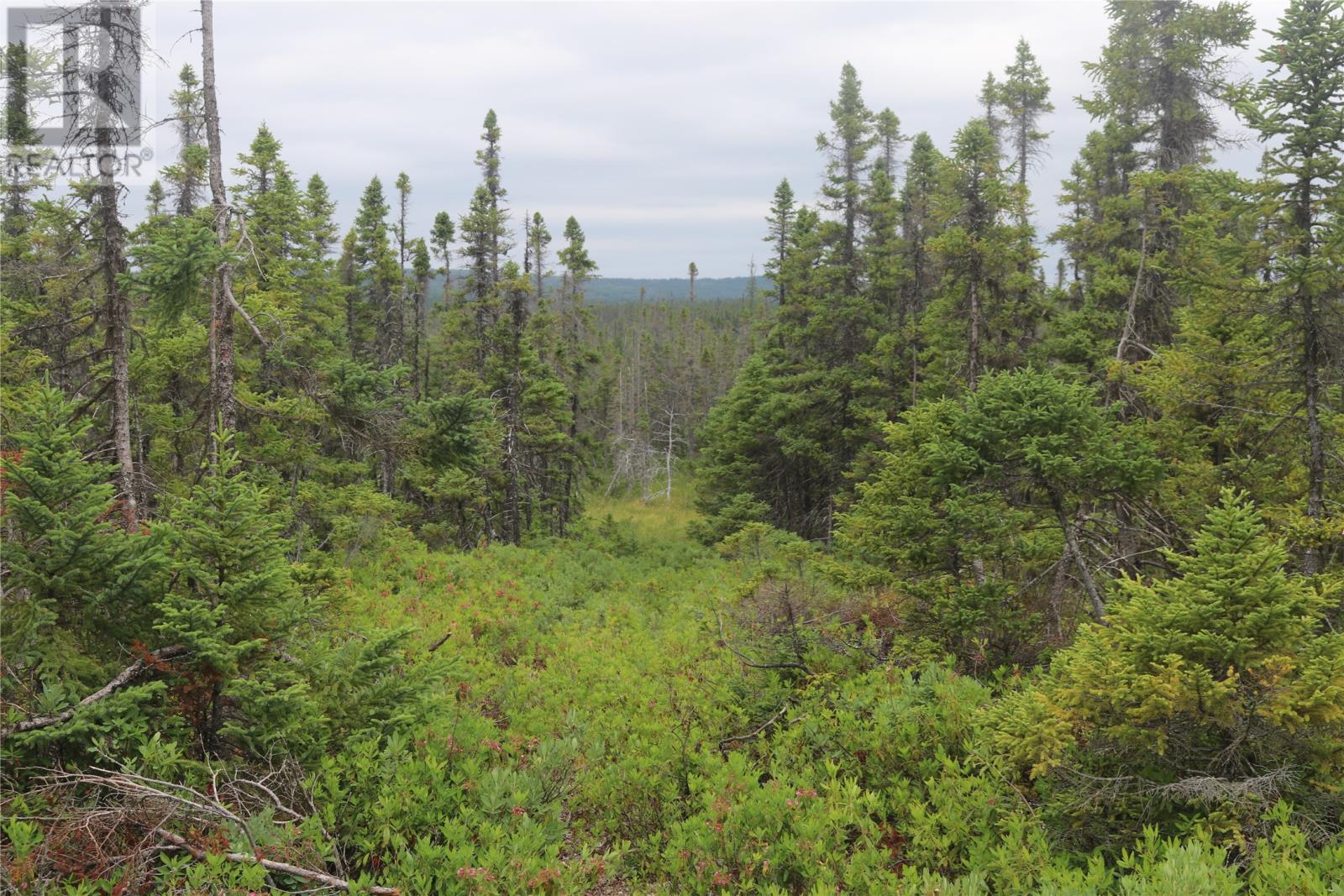Lot 25-26 Sandy Stream Road Property Photo 16