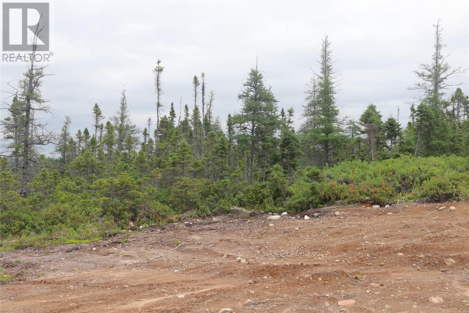 Lot 25-26 Sandy Stream Road Property Photo 17