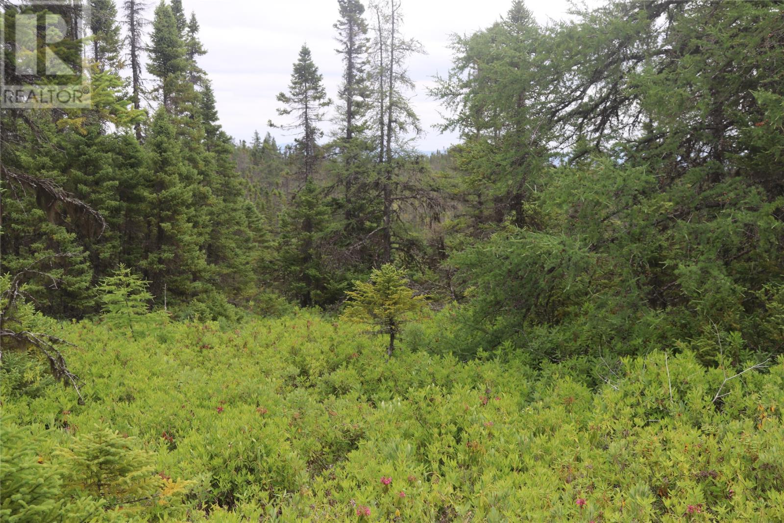 Lot 25-26 Sandy Stream Road Property Photo 18