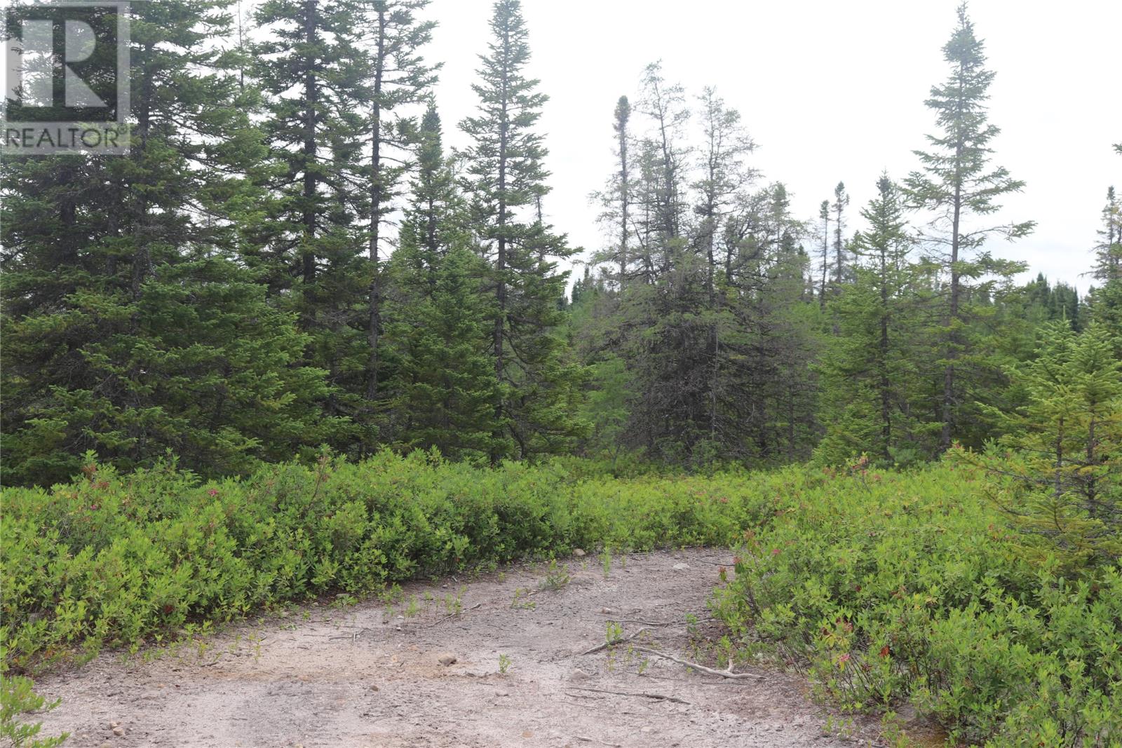 Lot 25-26 Sandy Stream Road Property Photo 19