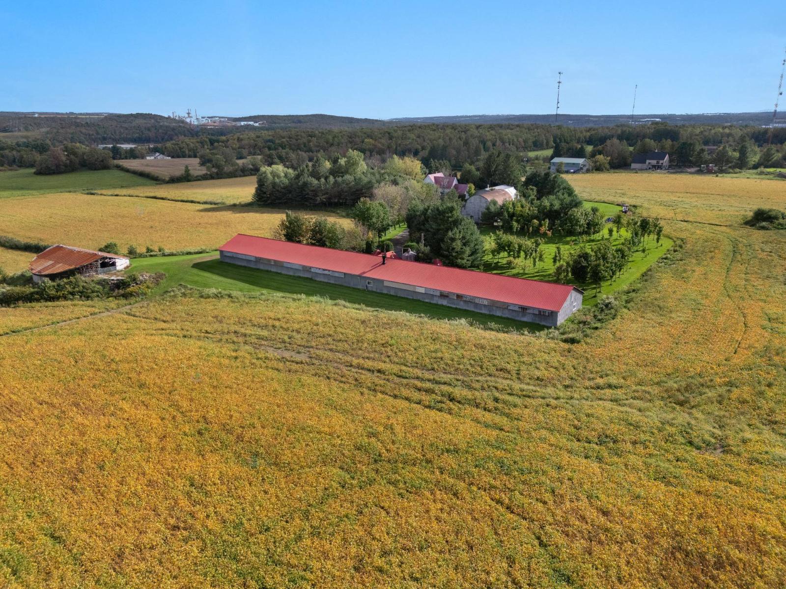 425z 11e Rang Property Photo 25