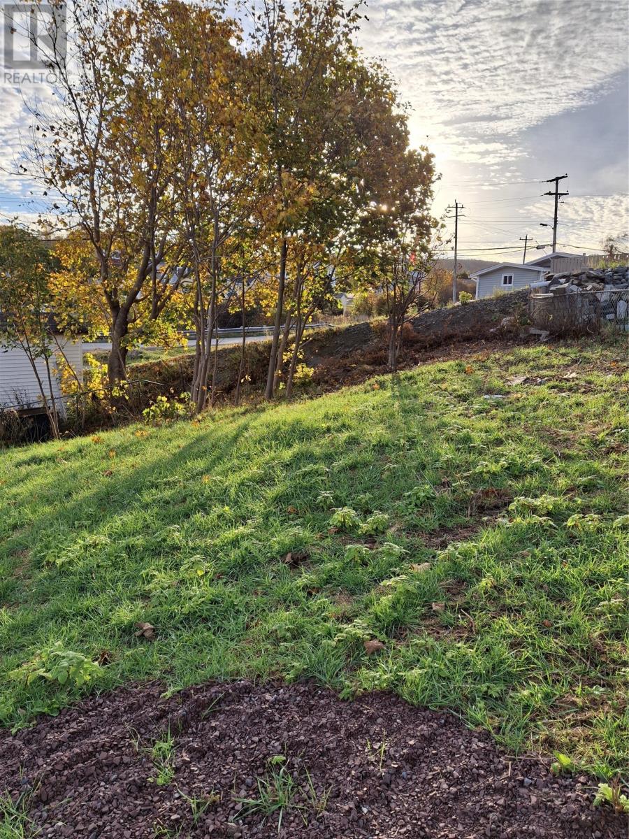 213a Main Road Property Photo 2
