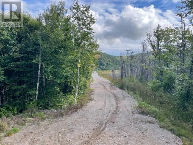 460 Route - White's Road Property Photo 2