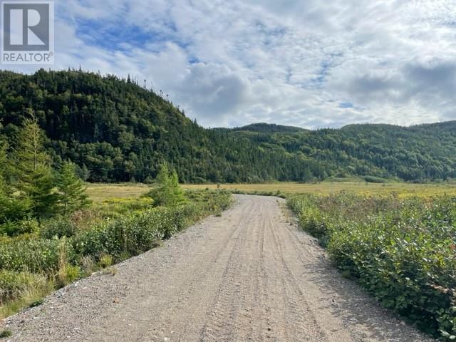 460 Route - White's Road Property Photo 3