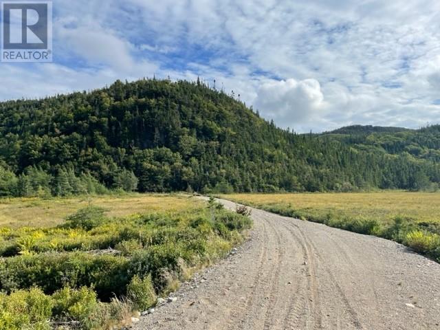 460 Route - White's Road Property Photo 4