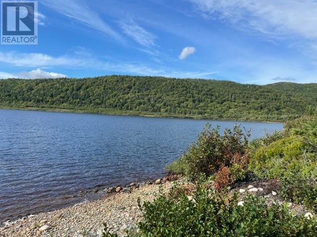 460 Route - White's Road Property Photo 8