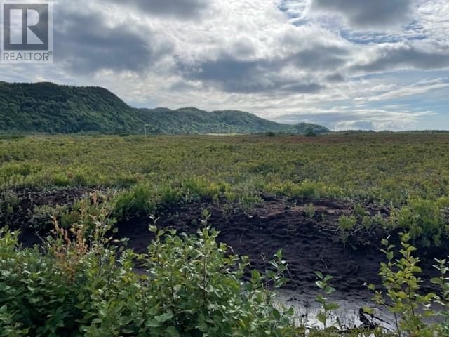 460 Route - White's Road Property Photo 11