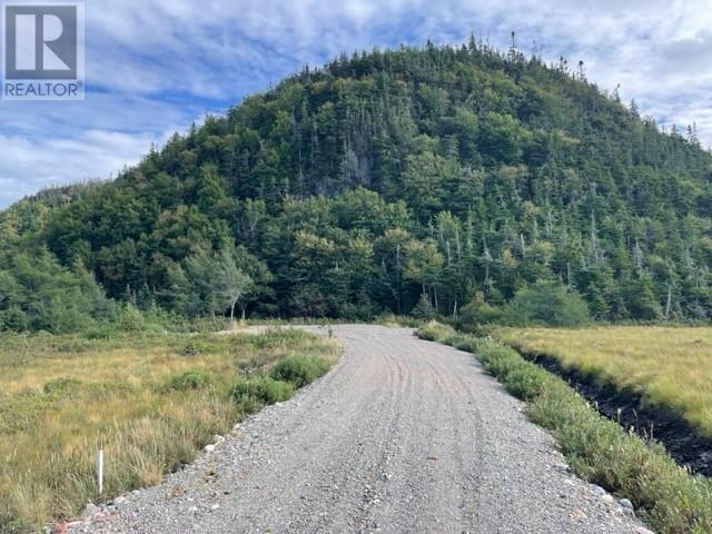 460 Route - White's Road Property Photo 12