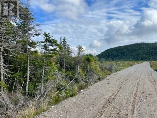 460 Route - White's Road Property Photo 13