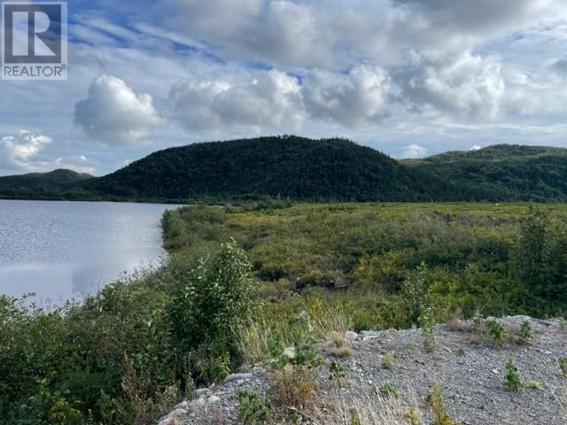 460 Route - White's Road Property Photo 17