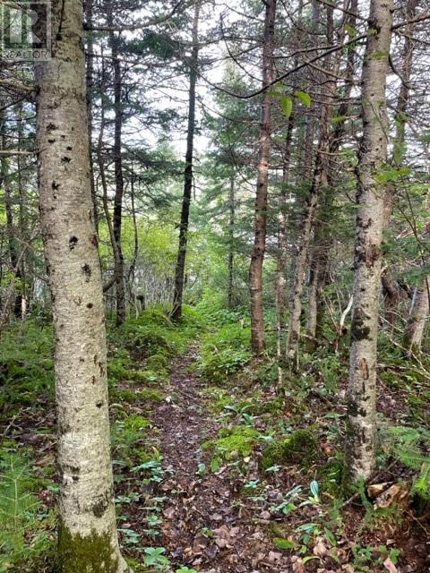460 Route - White's Road Property Photo 29