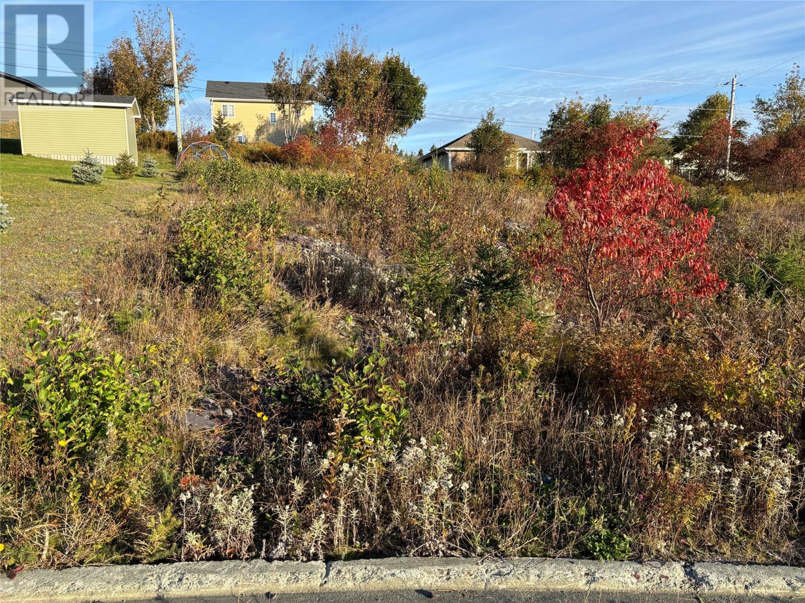 59 Badcock Boulevard Property Photo 1