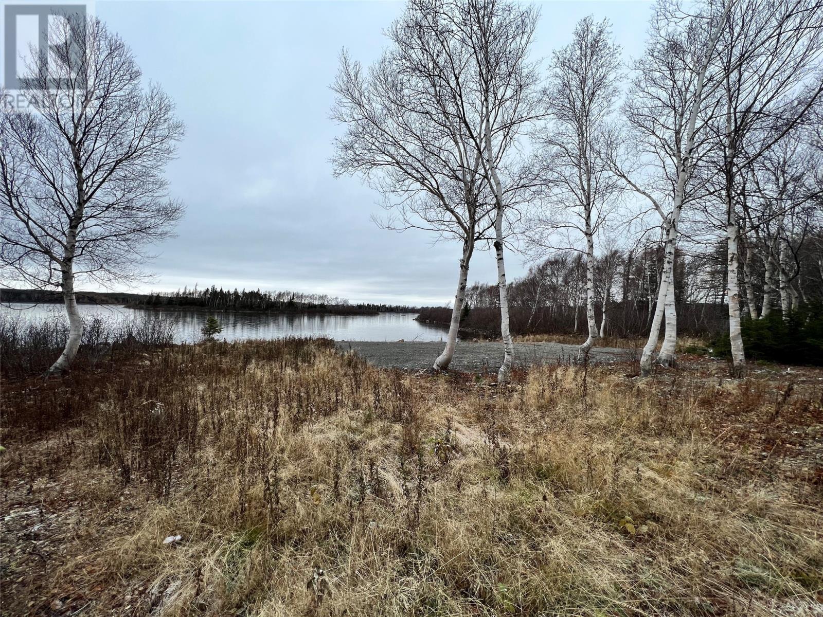 0 Number 2 Pond Property Photo 18