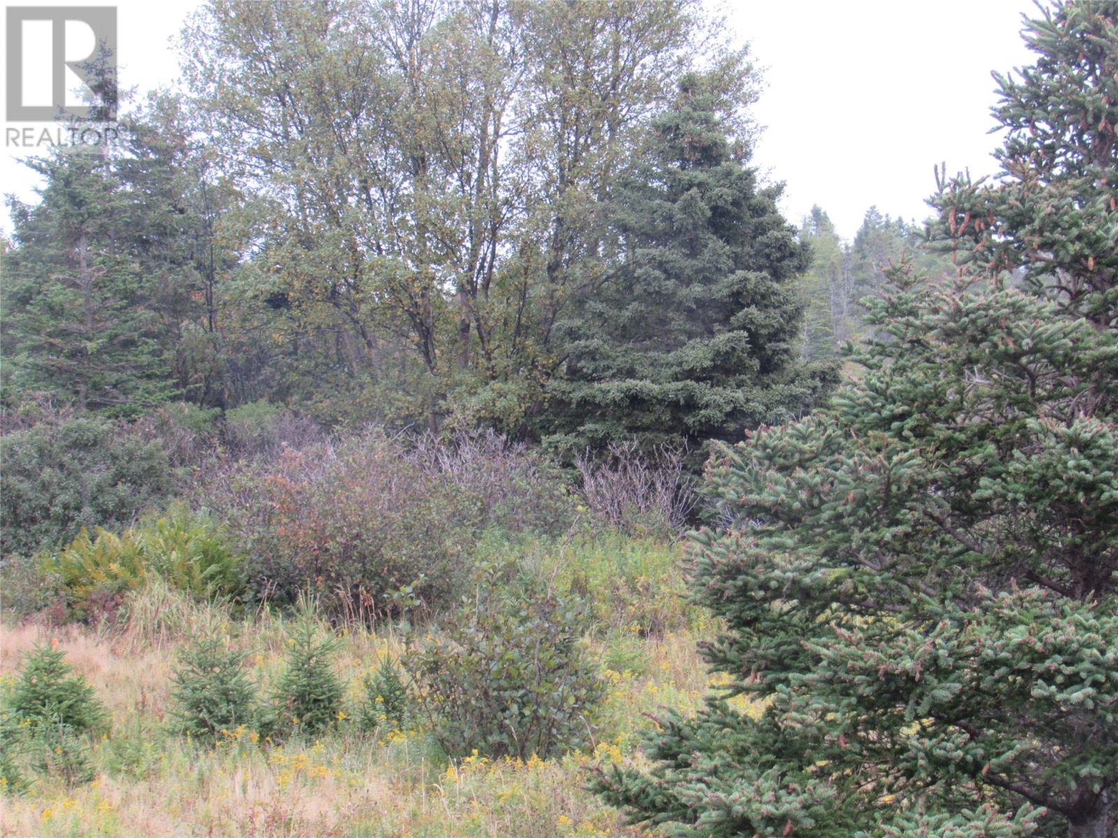 16 Old Road Extension Property Photo 22
