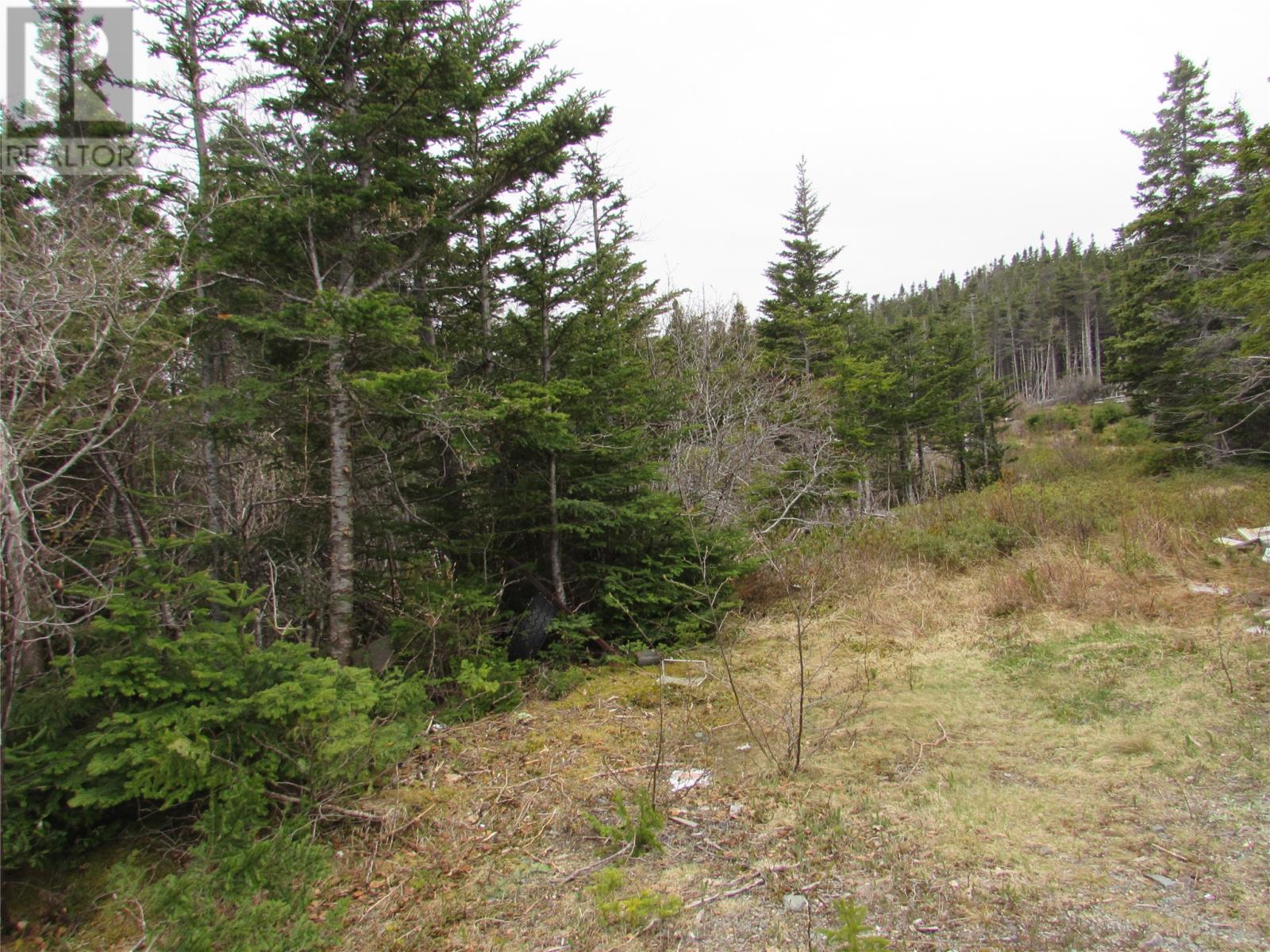 6 Country Lane Property Photo 1
