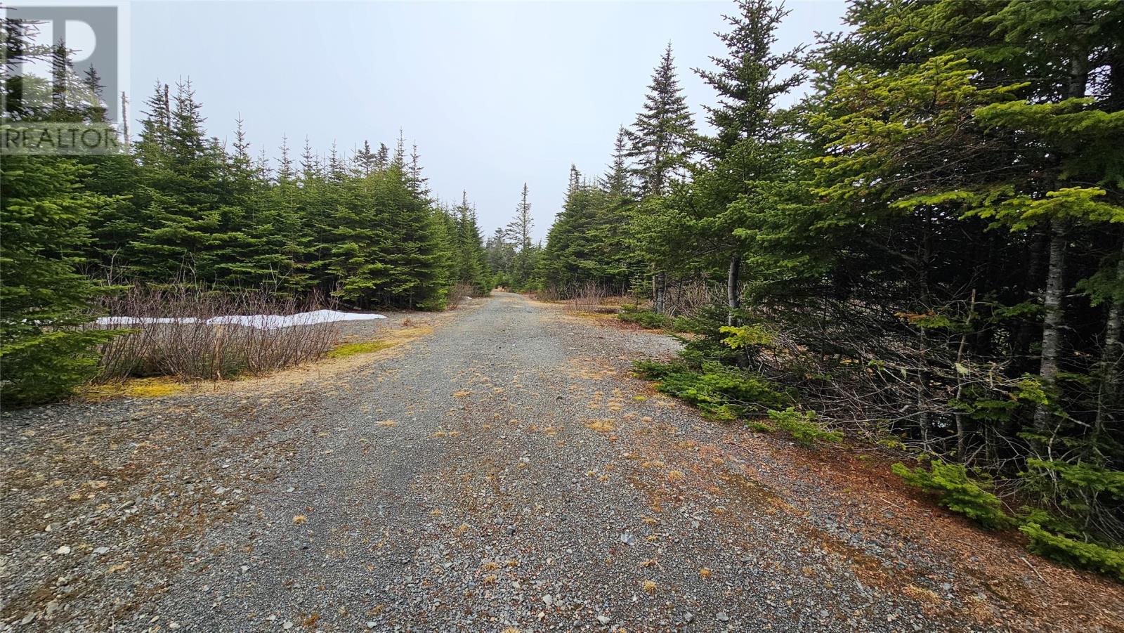 0 Trans Canada Highway Property Photo 3