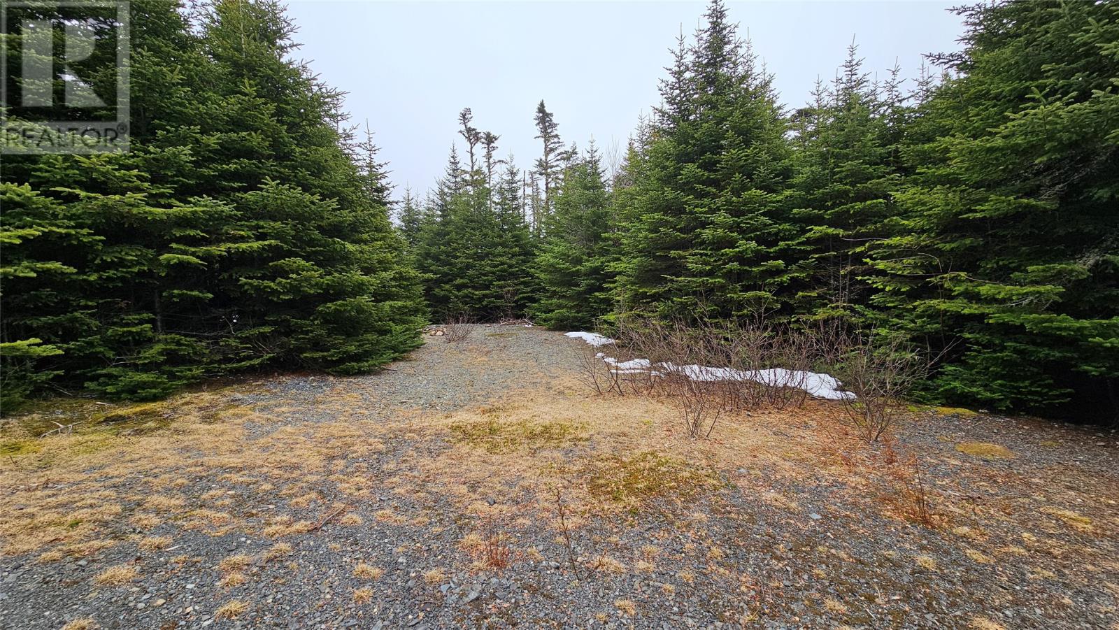 0 Trans Canada Highway Property Photo 4