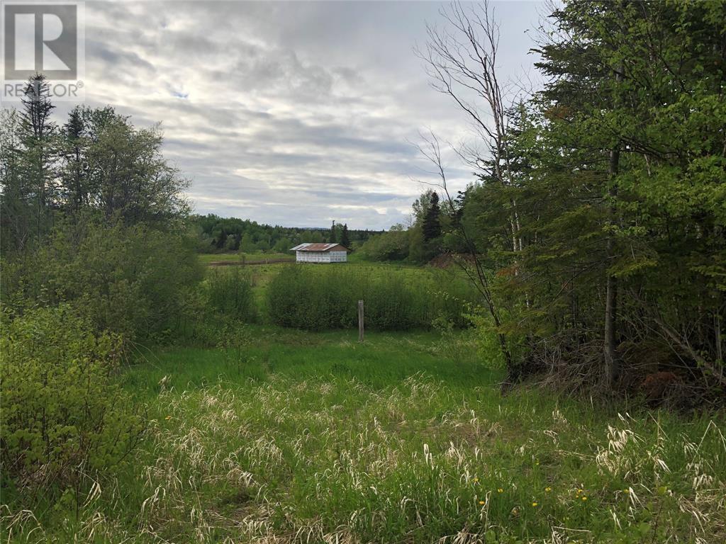 Lot#2-6 Upper Tranquil Waters Road Property Photo 2