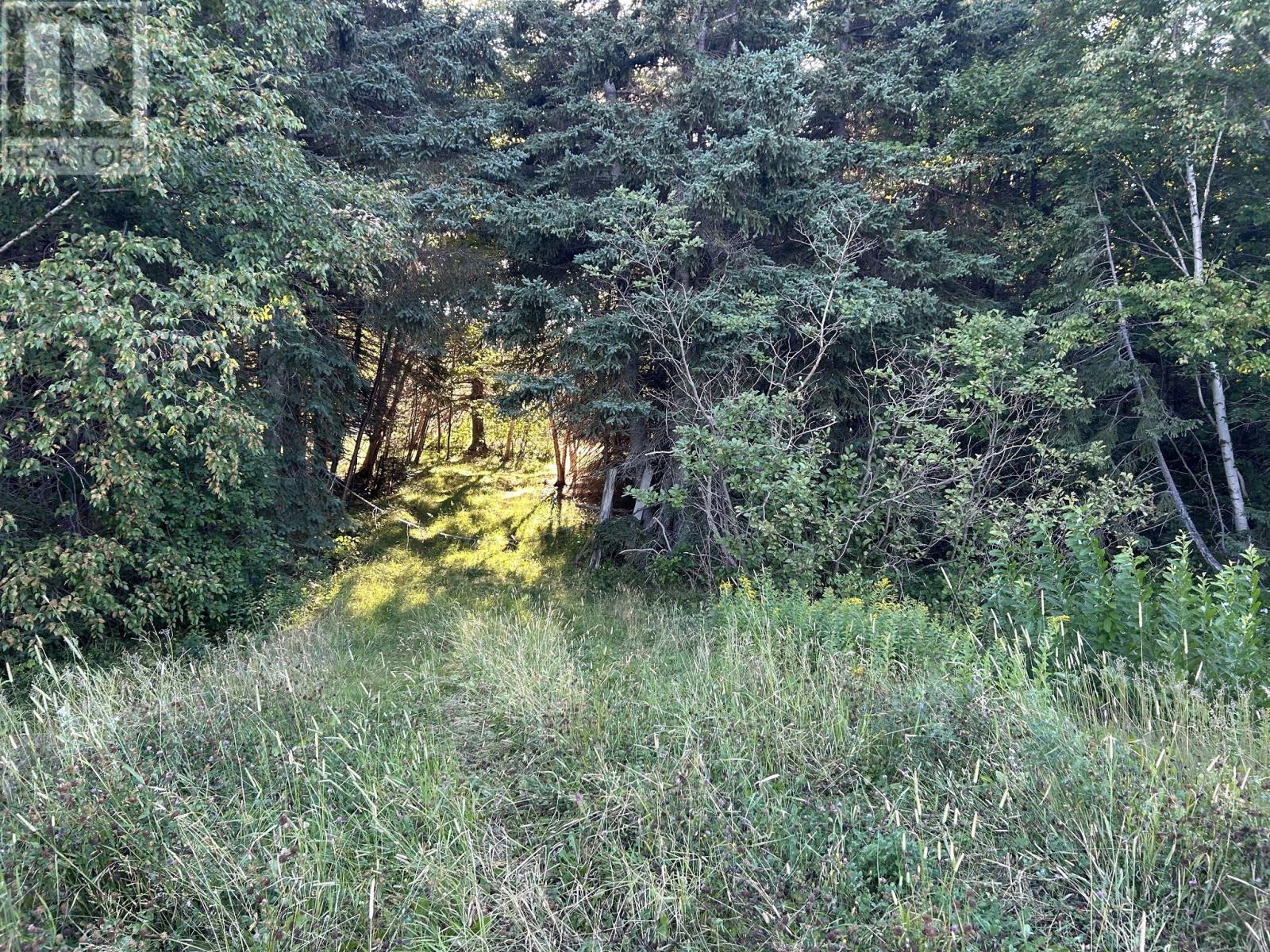 Parcels A & B Main Road Property Photo 3