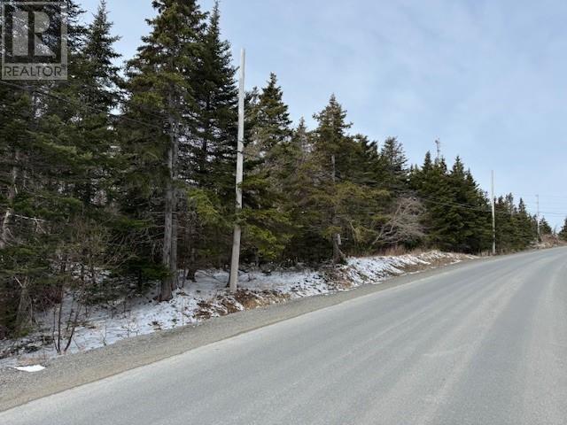 0 Saddle Hill Property Photo 2