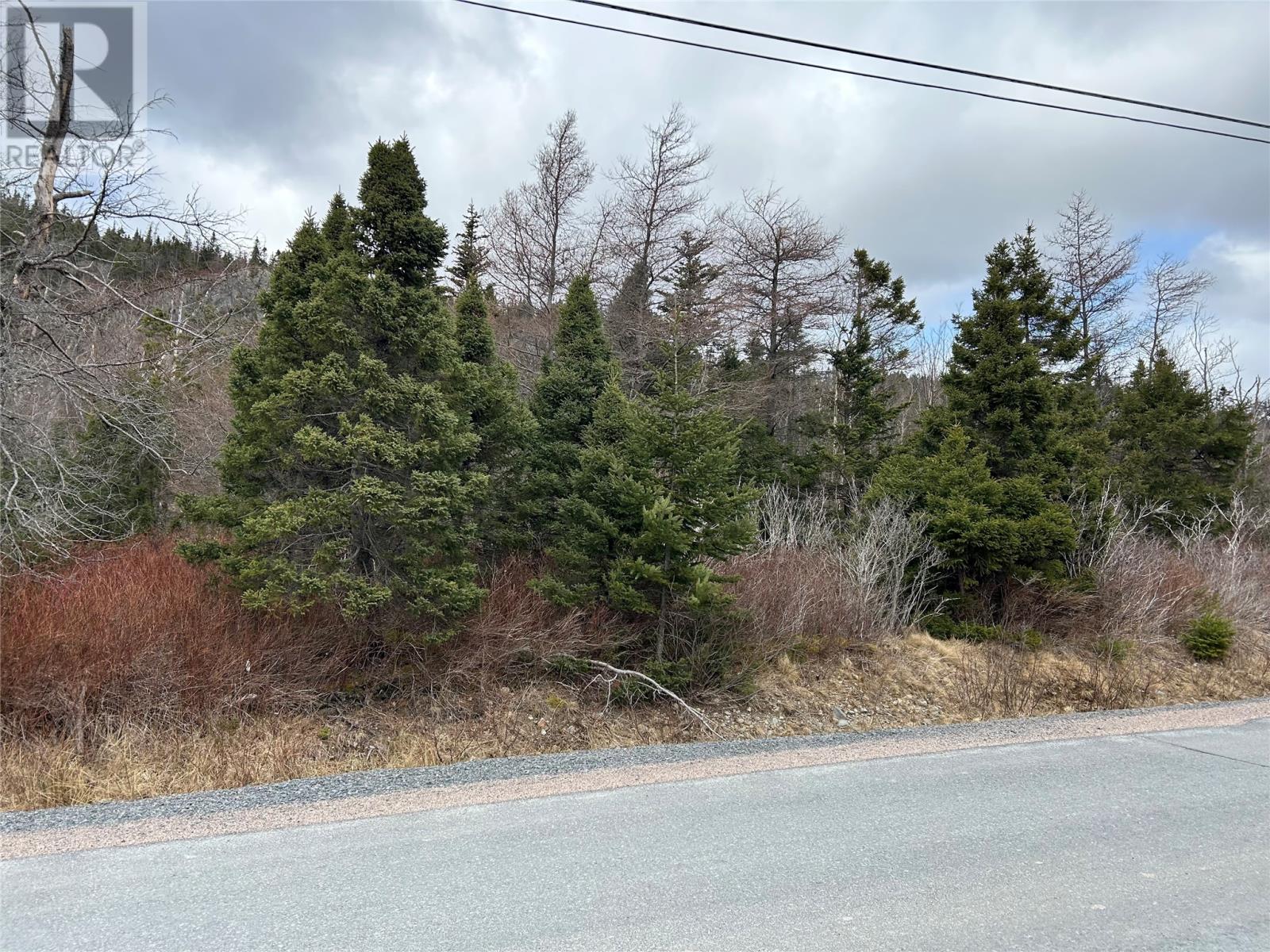 Lot #1 Main Road Property Photo 1