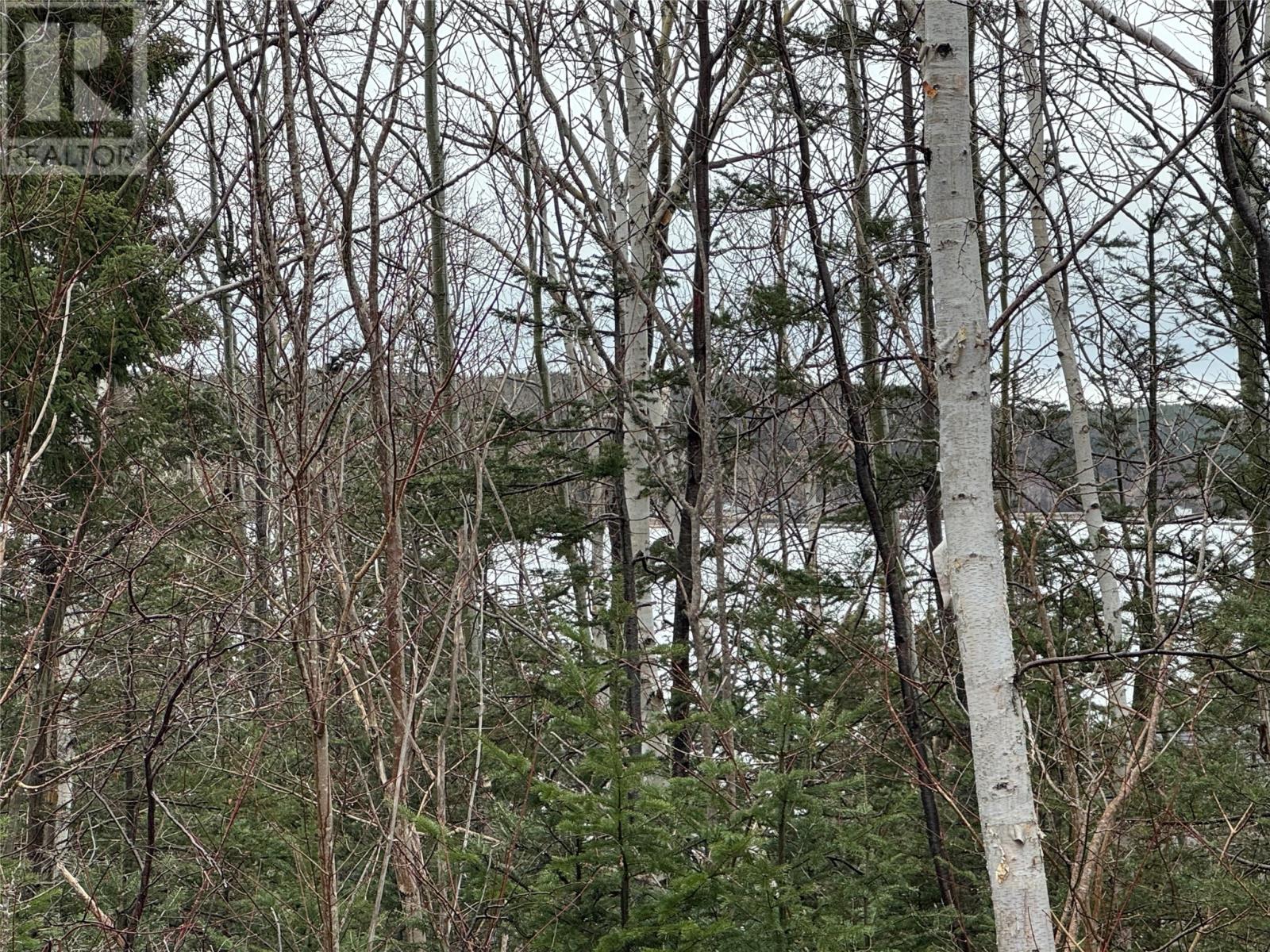 0 Goobies Road Property Photo 7