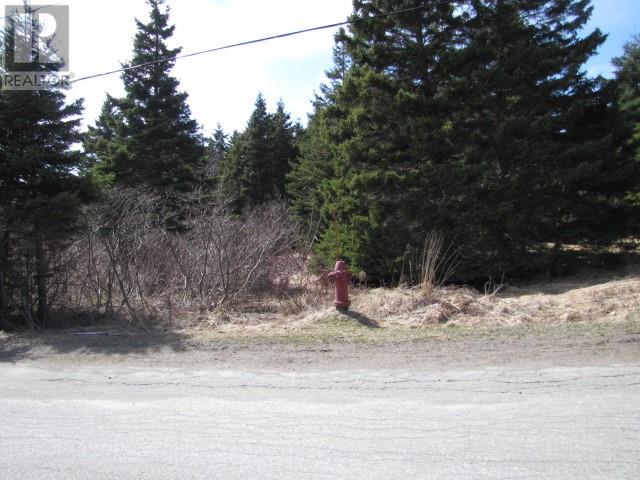 4 William's Lane Property Photo 1