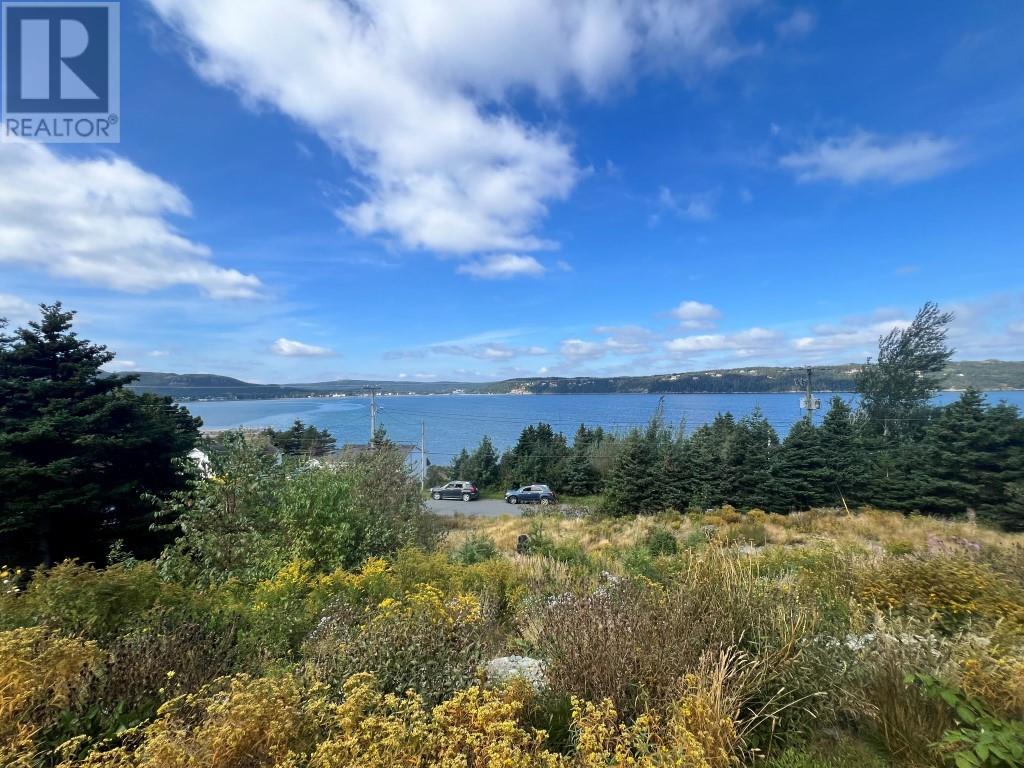 98 - 100 Salmon Cove Road Property Photo 1