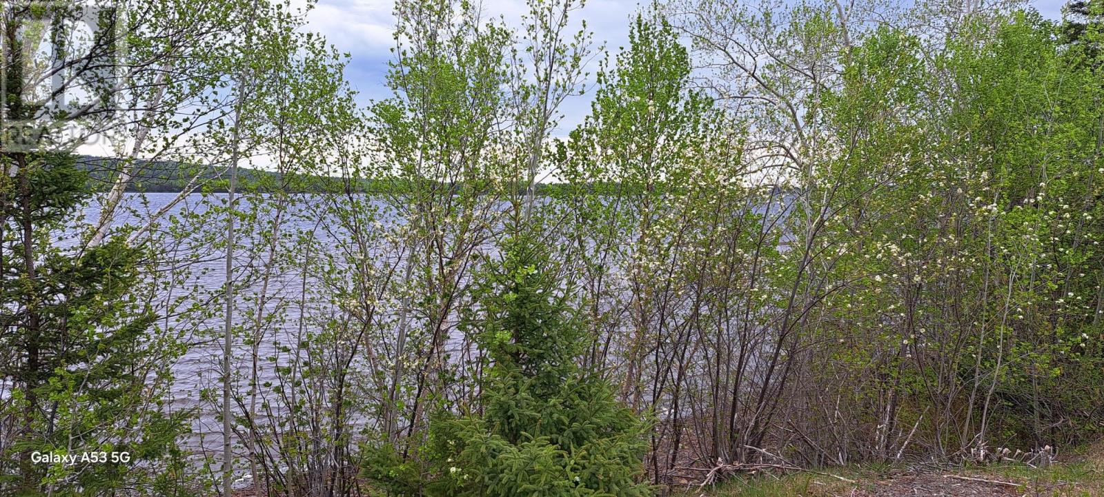 43 Sandy Point Road Property Photo 1