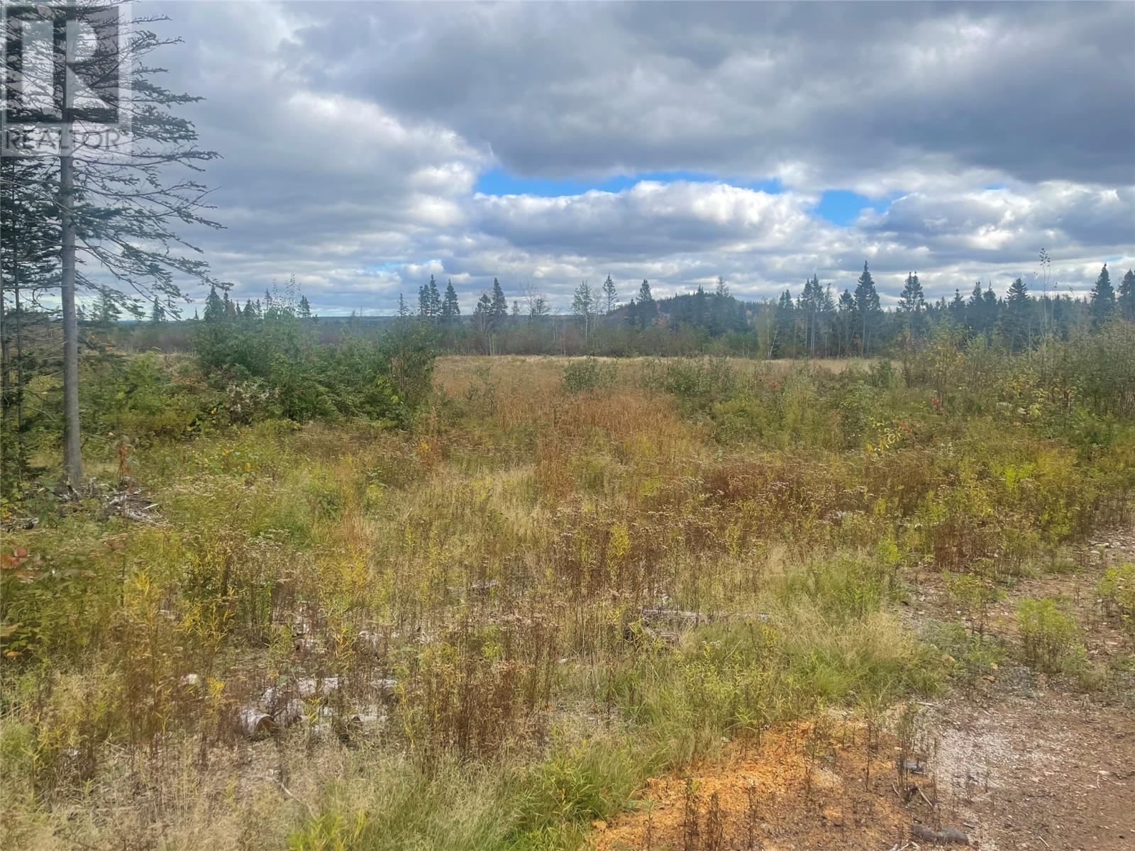 136333 Peter's Pond Property Photo 1