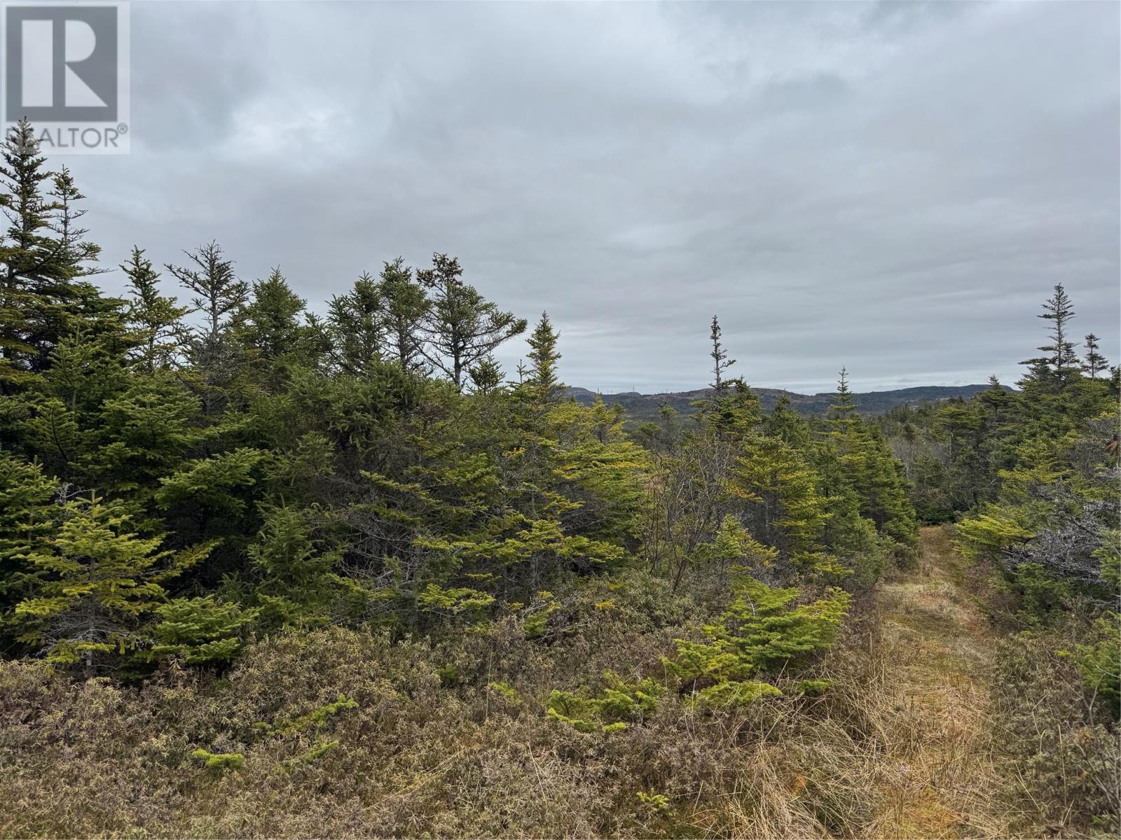 0 Centennial Hill