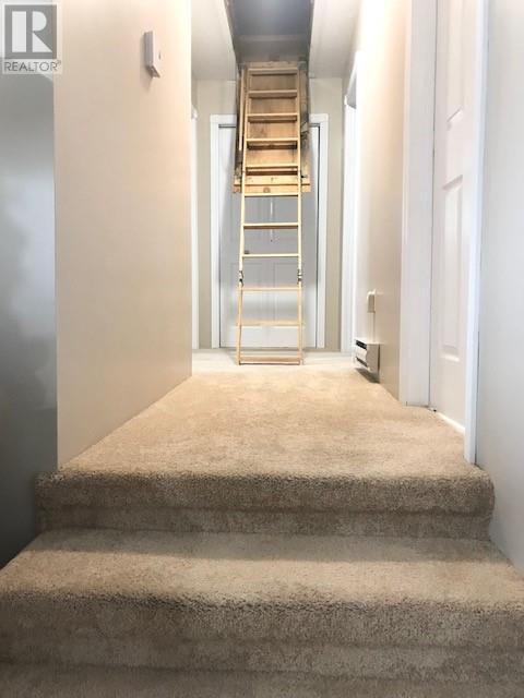 15 Cox Avenue Property Photo 25