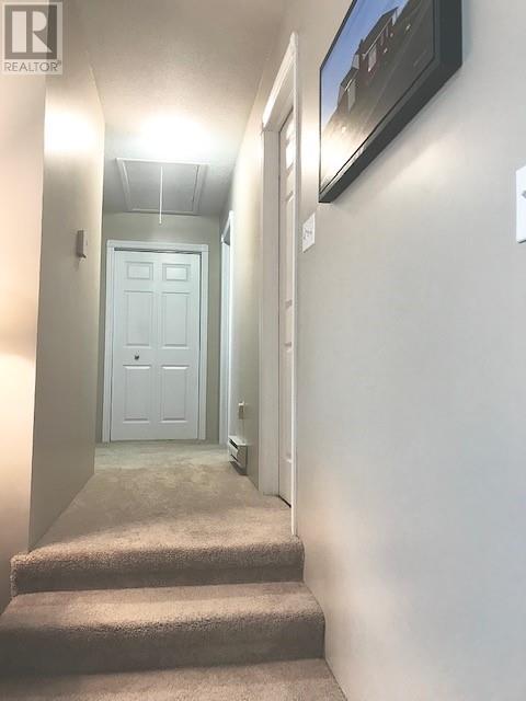 15 Cox Avenue Property Photo 31