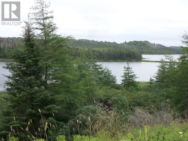 Lot 1 Junction Pond Unit#lot 1 Property Photo 4