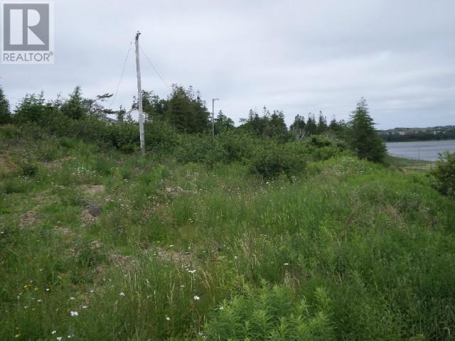 Lot 1 Junction Pond Unit#lot 1 Property Photo 6