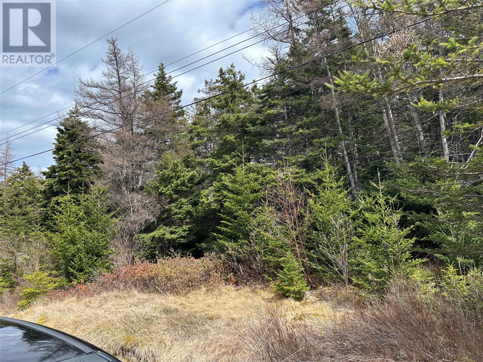83-84 Conception Bay Highway Property Photo 1