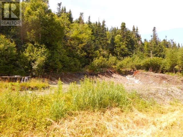259a Main Street Property Photo 1