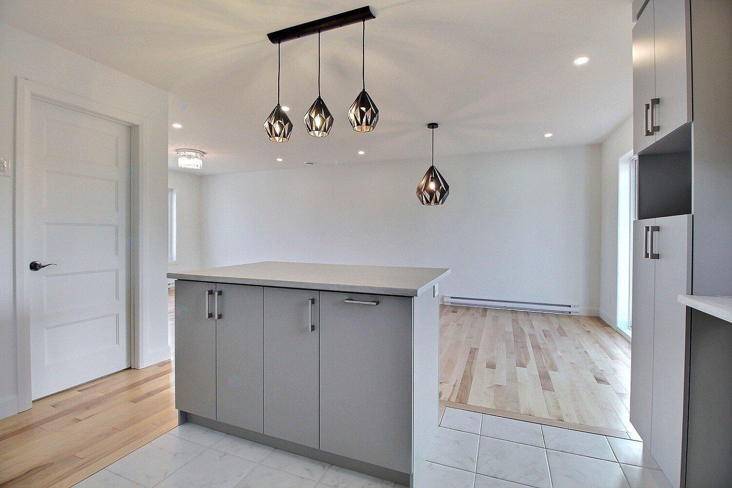 Rue Guy-linteau Property Photo 4
