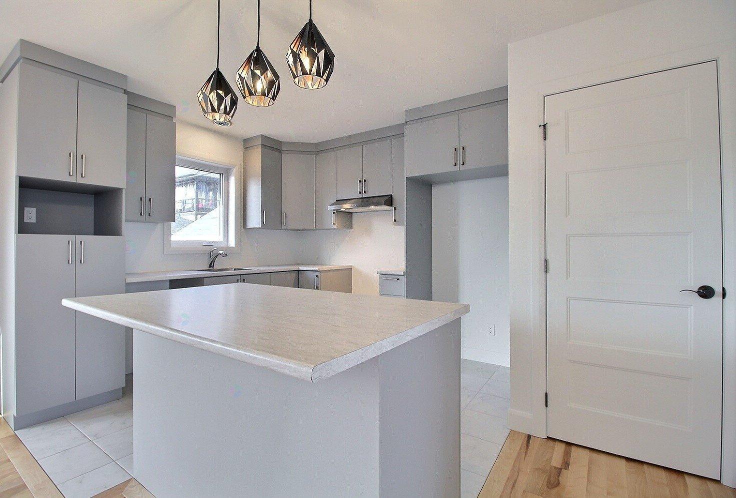 Rue Guy-linteau Property Photo 5