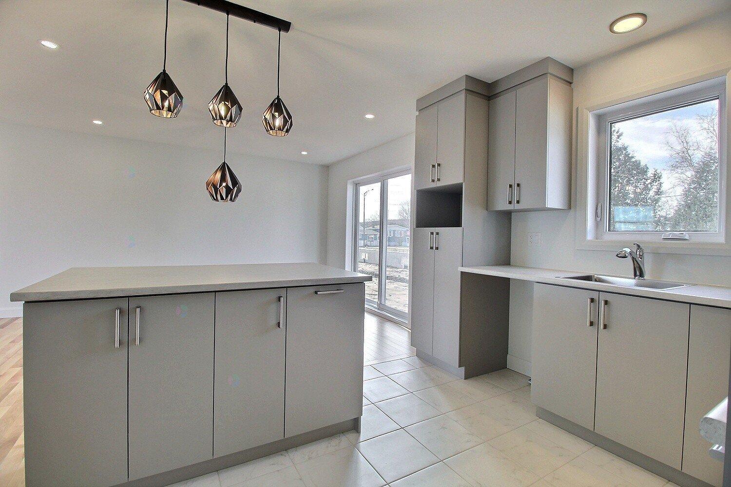 Rue Guy-linteau Property Photo 6